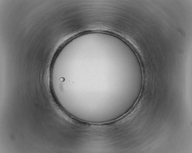 X0000113270840200909101309