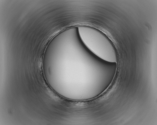 X0000113270841200909101309