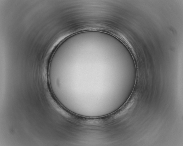 X0000113270843200909101309