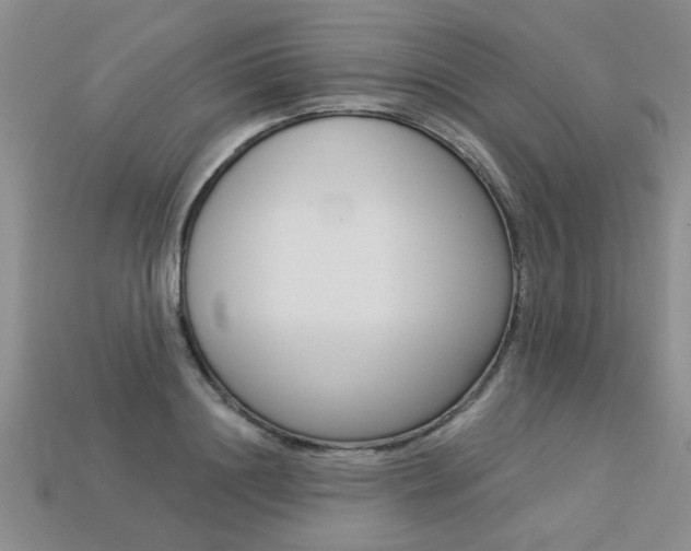 X0000113270844200909101309