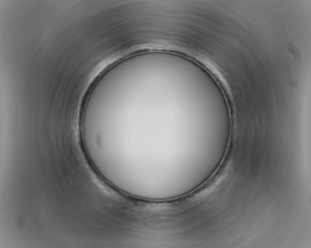 X0000113270845200909101309