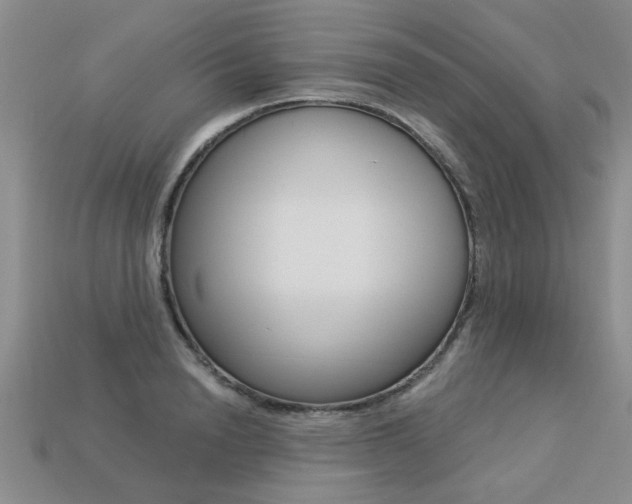 X0000113270846200909101309