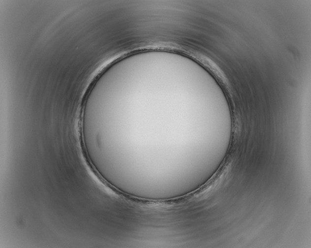 X0000113270847200909101309