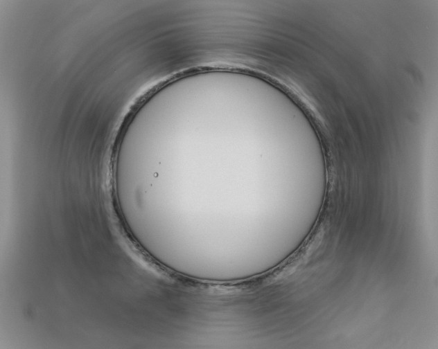X0000113270848200909101309