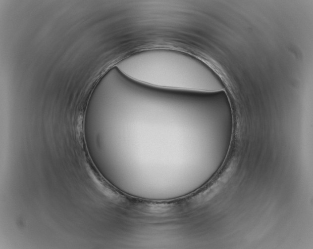 X0000113270849200909101309