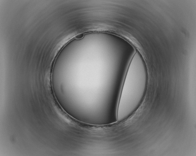 X0000113270850200909101309