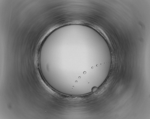 X0000113270851200909101309