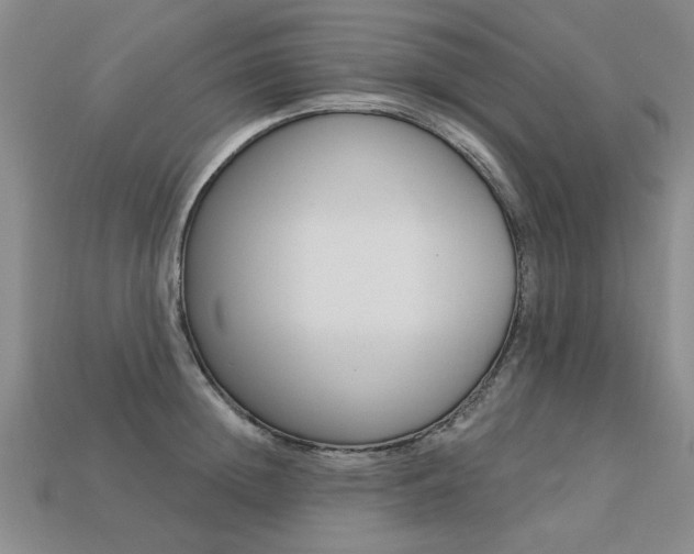 X0000113270852200909101309