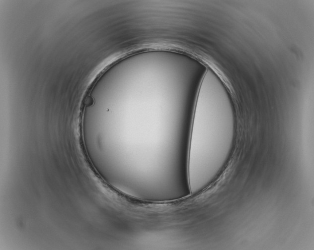 X0000113270853200909101309