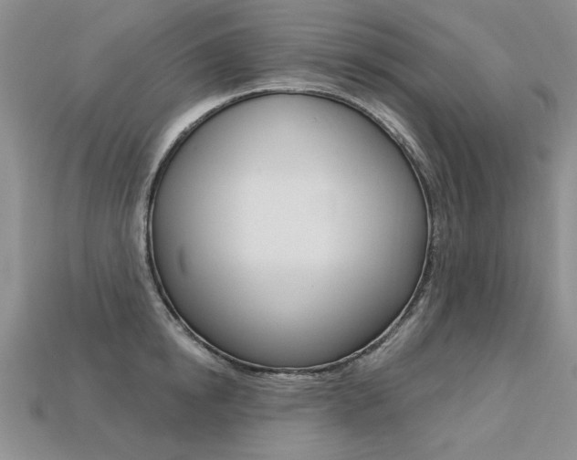X0000113270854200909101309