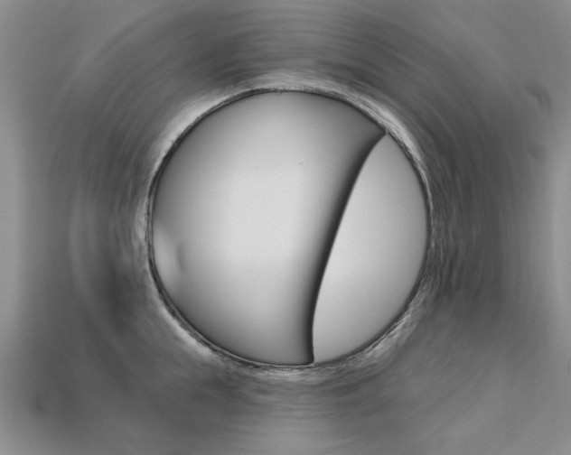 X0000113270855200909101309
