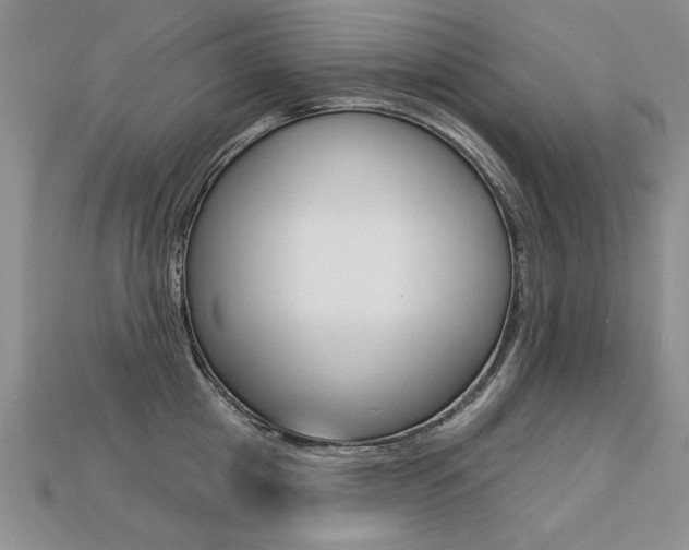 X0000113270857200909101309