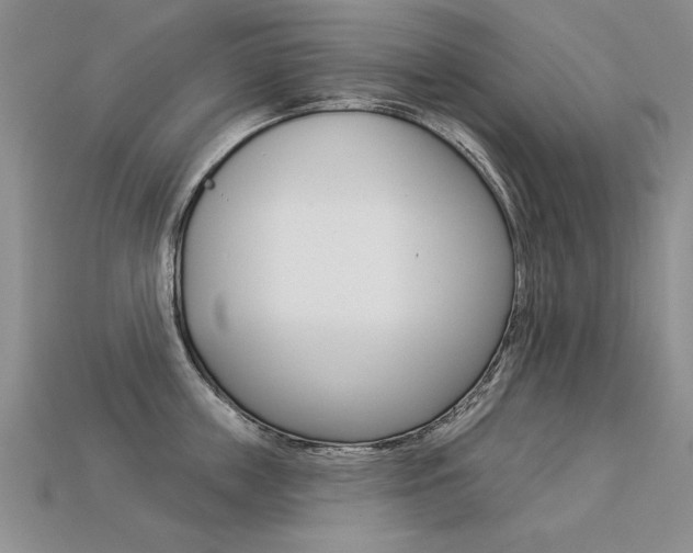 X0000113270859200909101309