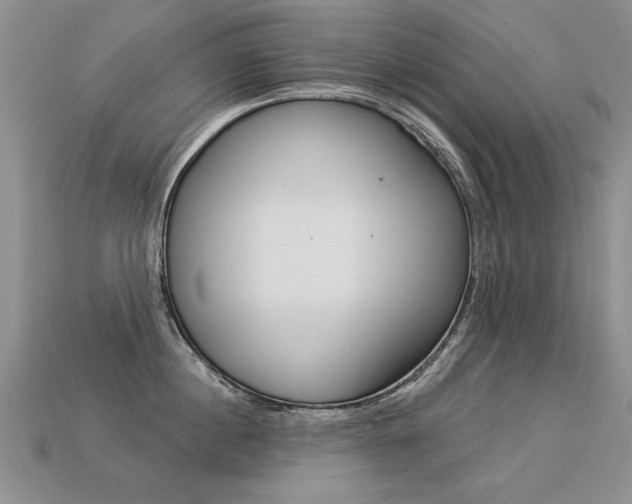 X0000113270860200909101309