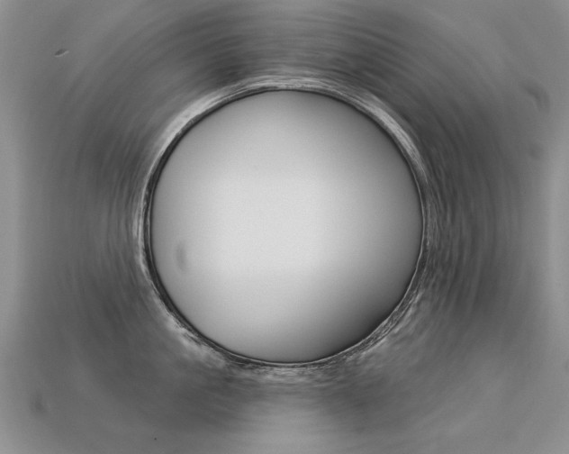 X0000113270861200909101309