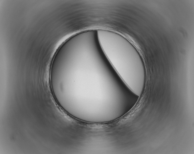 X0000113270862200909101309