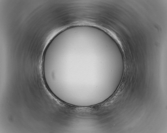 X0000113270863200909101309