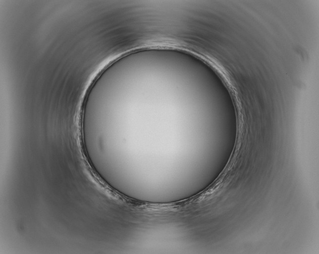 X0000113270864200909101309