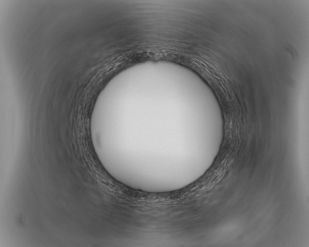 X0000113270865200909101309