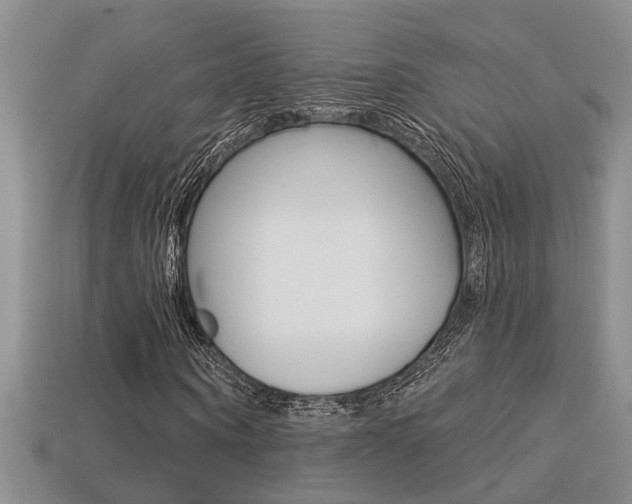 X0000113270866200909101309