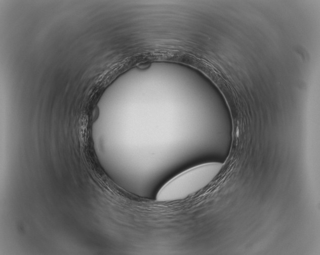X0000113270867200909101309