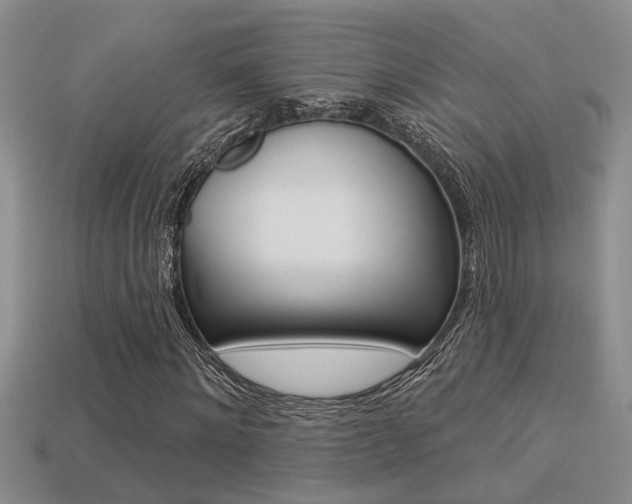 X0000113270868200909101309