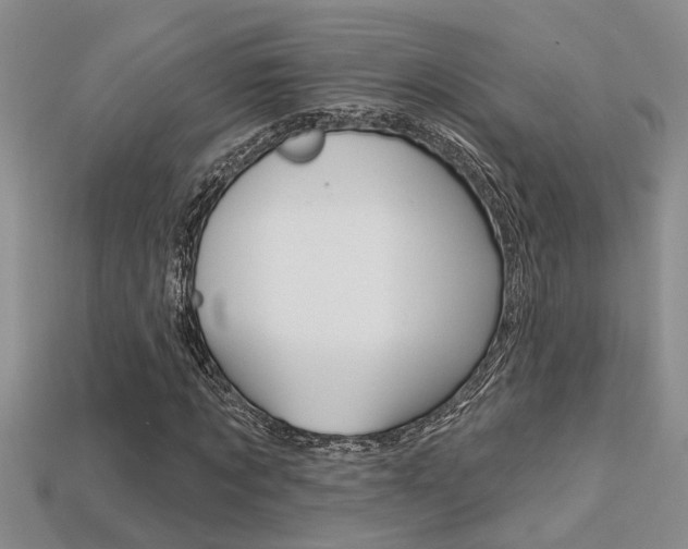 X0000113270869200909101309