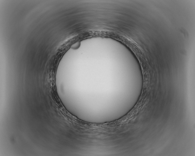 X0000113270870200909101309