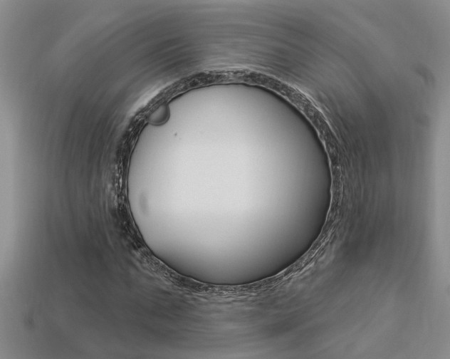 X0000113270871200909101309