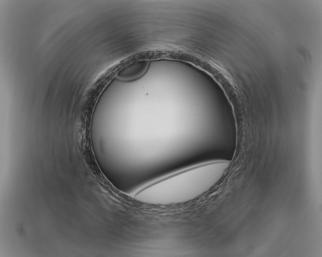 X0000113270872200909101309