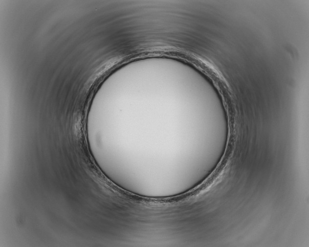 X0000113270873200909101309