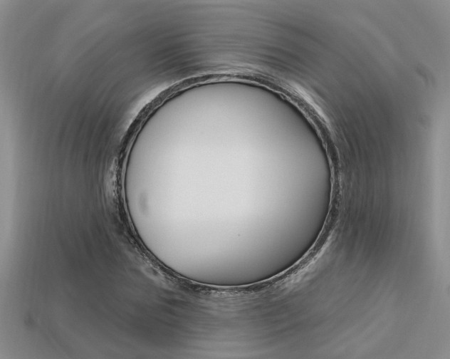 X0000113270875200909101309