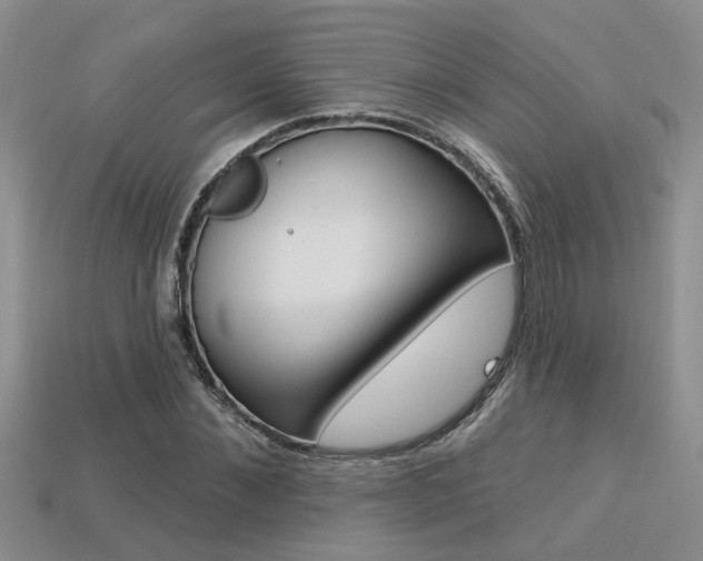 X0000113270876200909101309