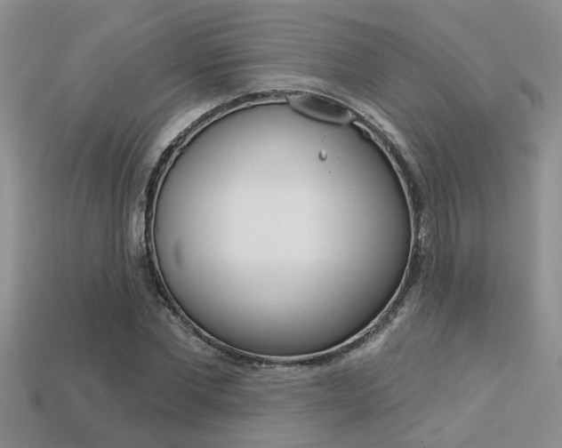X0000113270877200909101309