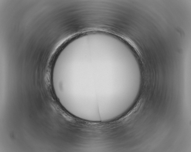 X0000113270878200909101309