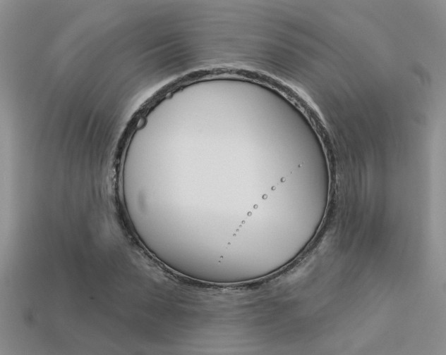 X0000113270879200909101308