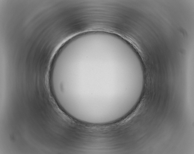 X0000113270880200909101308