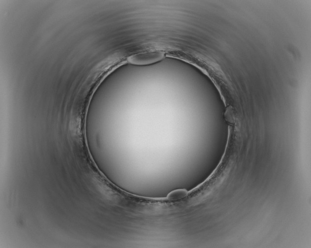 X0000113270881200909101308