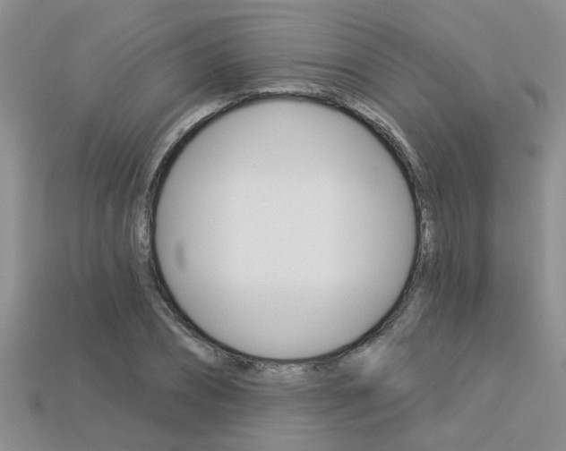 X0000113270882200909101308