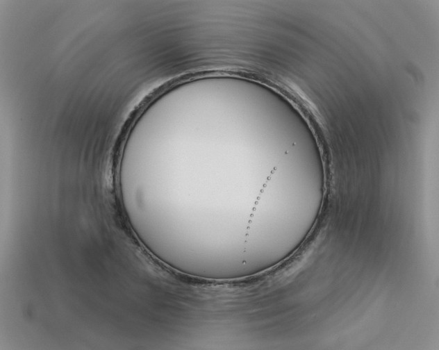 X0000113270883200909101308