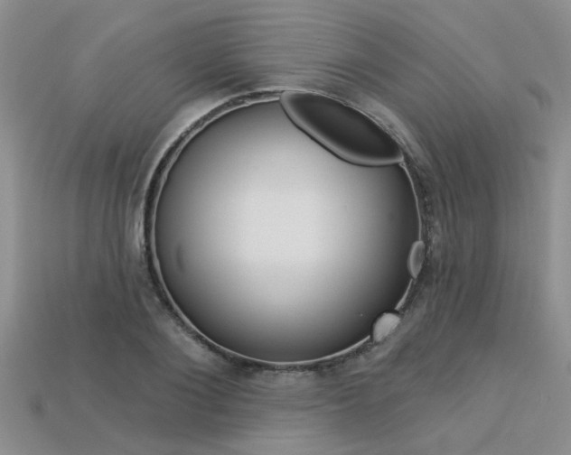 X0000113270884200909101308