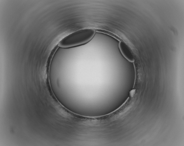 X0000113270885200909101308