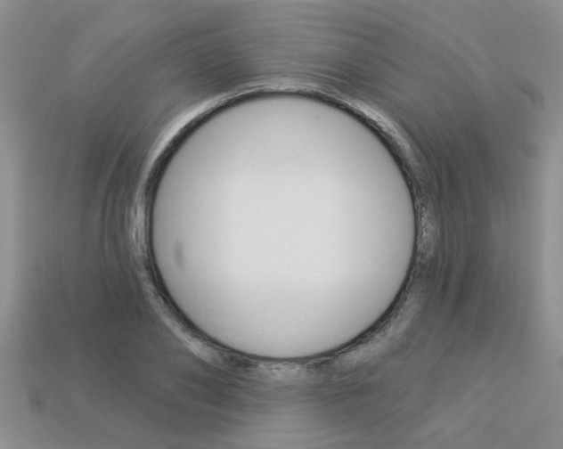 X0000113270886200909101308