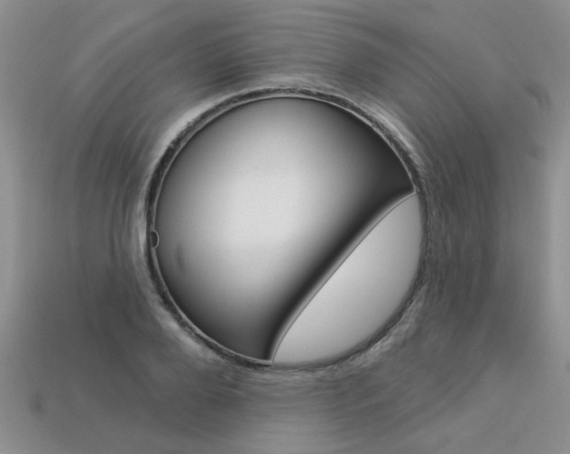 X0000113270888200909101308