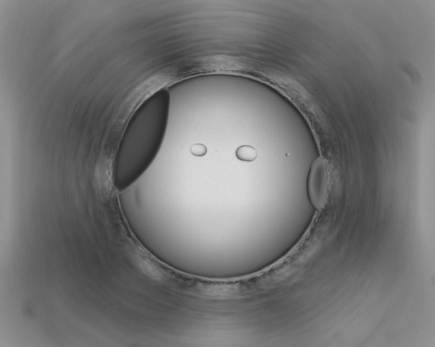 X0000113270889200909101308
