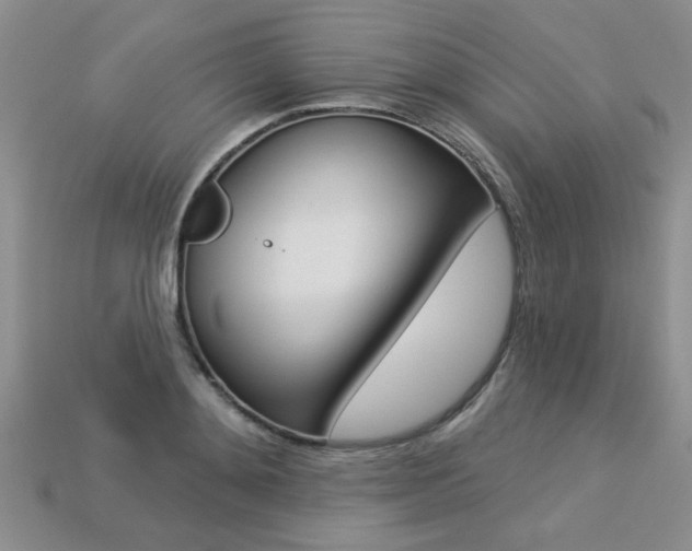 X0000113270892200909101308