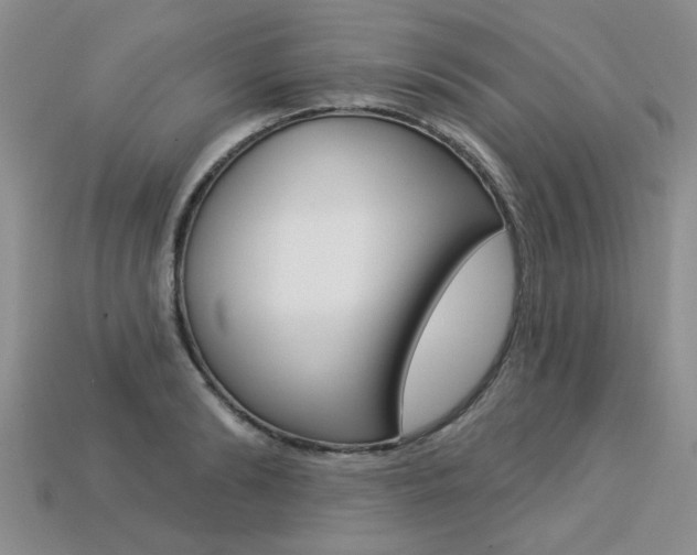 X0000113270894200909101308
