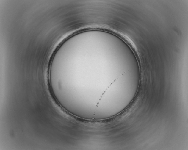 X0000113270895200909101308