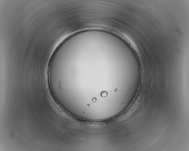 X0000113270899200909101308