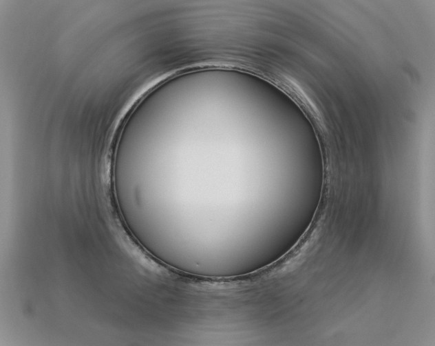 X0000113270900200909101308